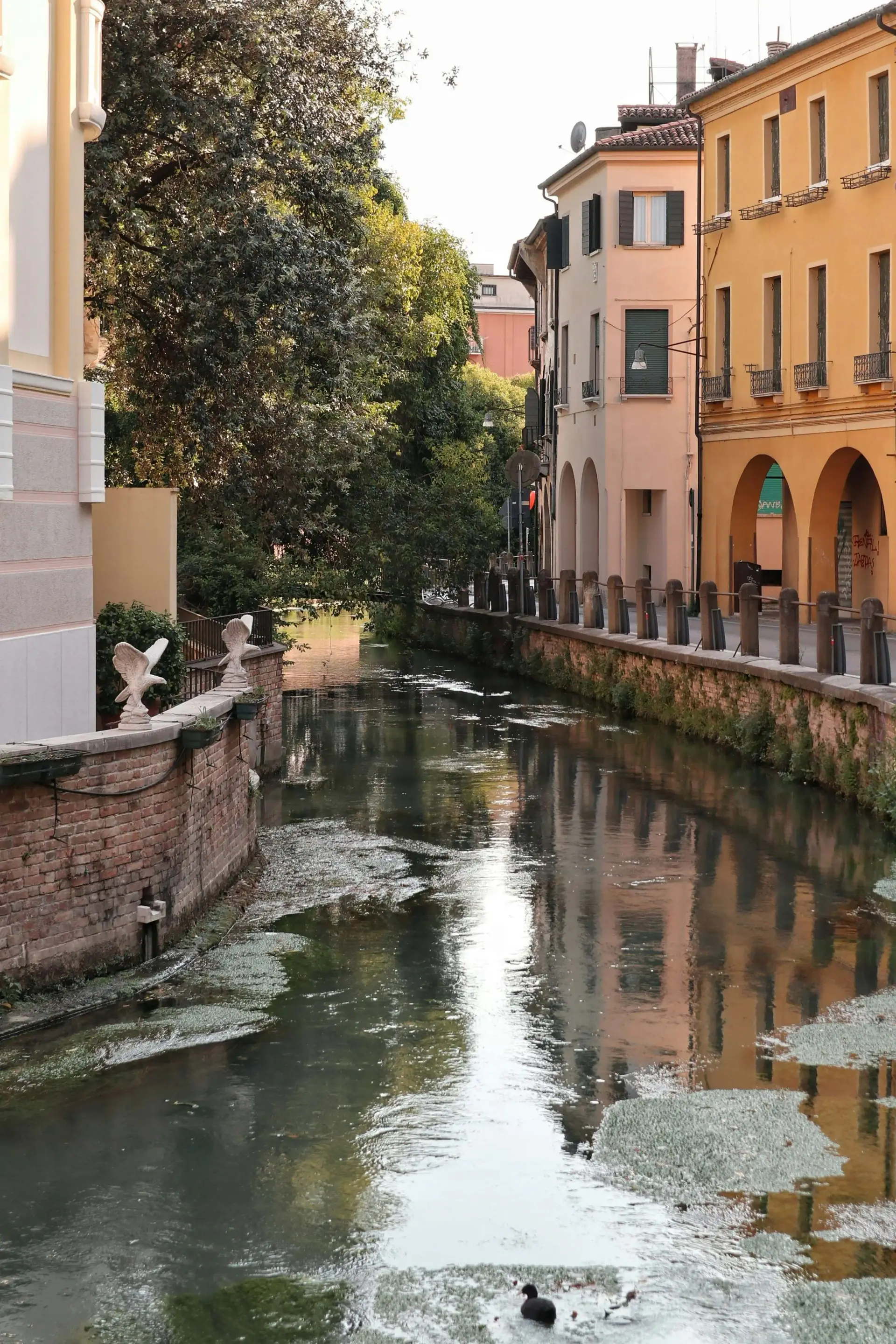 treviso-3